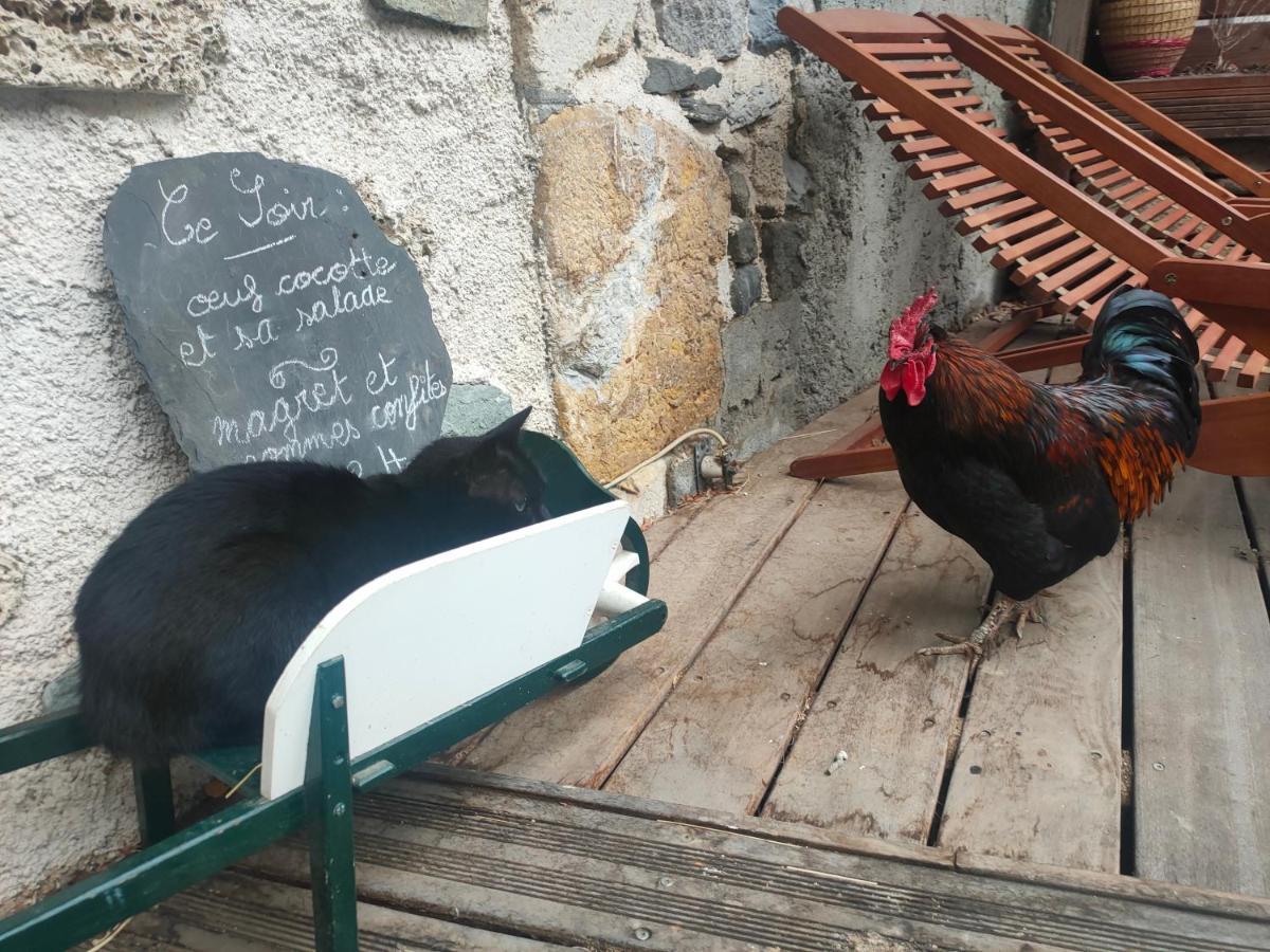Chambres D'Hotes Les Chatougoulis Les Bordes-sur-Lez Ngoại thất bức ảnh